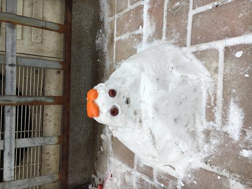 漫长的雪花