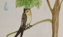 第一次看到妈妈的眼泪