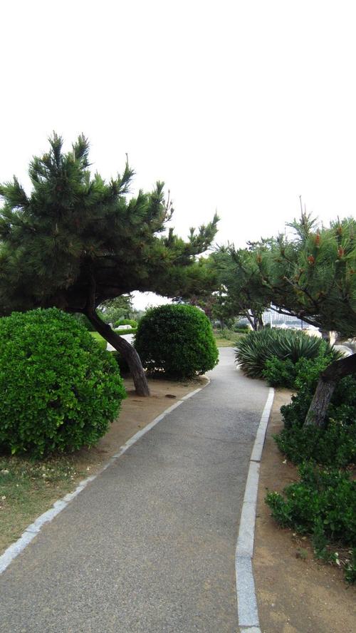 阳光照射在城市