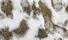 让脚印随风而去