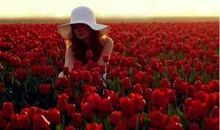 与春暖花开不期而遇