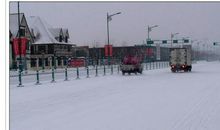 怀念今冬那场雪