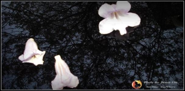 当我看到下雨时，我想起了你。