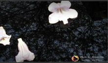 看见飘落的雨水就想起你