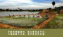 退步原来是向前