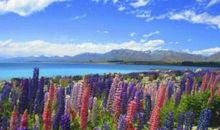 感受生活的美景