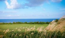 站在半高处看世界