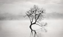 孤独所带给我的