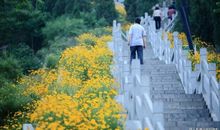 回头望望发现美好