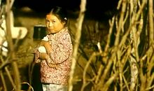 我因暖春而自豪