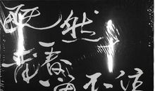 即使青春留不住