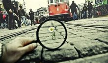 生活因逗留而生动