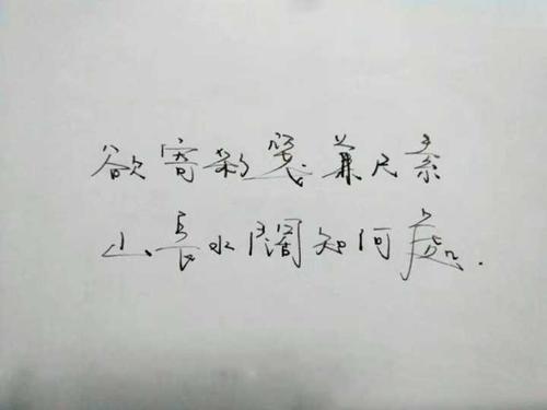 我忽略了一颗心