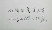 我曾经忽略了一片心意