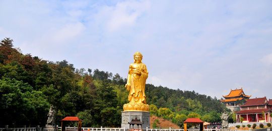 在我心中的欧芹山