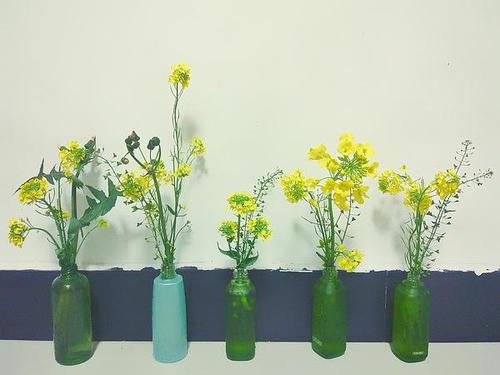 这也是一个美丽的