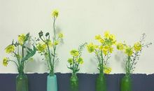 枯萎也是一种美