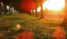 缕缕阳光如希望