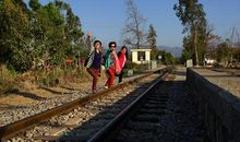 追逐阳光的脚步