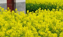 读书生命中的一道亮丽风景线