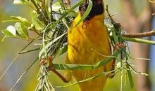 认真做好每一件小事