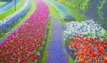 美丽的草坪作文三年级