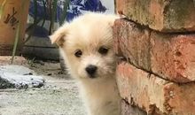 那一处墙角的渴望