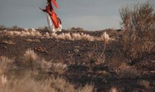 勇气，让你不再是弱者