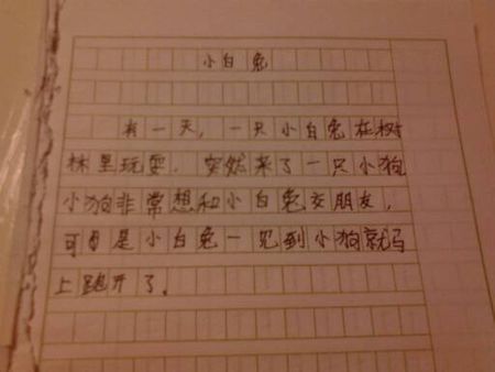 礼品组成600字