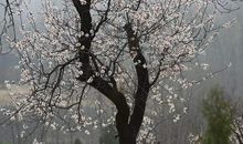 牵挂如一缕绵长的云