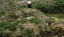 站在这片土地上