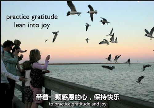 “脆弱的力量”泰德