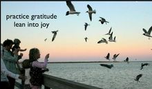 《脆弱的力量》TED观后感