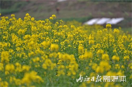 在现场的日子里