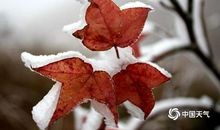 不胜高寒，共赏婵娟