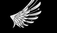 让我的翅膀守护你