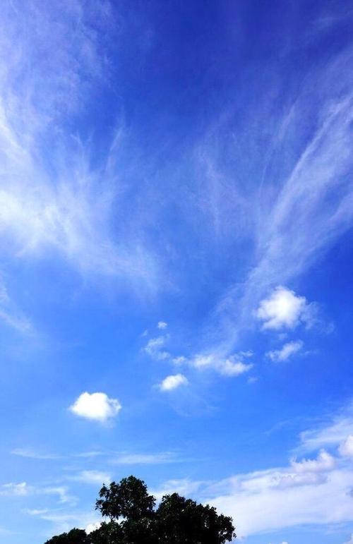 勇敢挑战自己