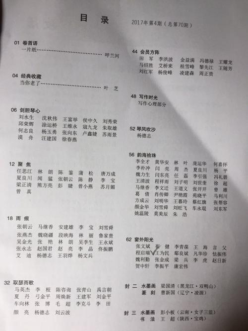 “丑陋的石头”
