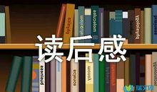 读《一碗水的愤怒》有感