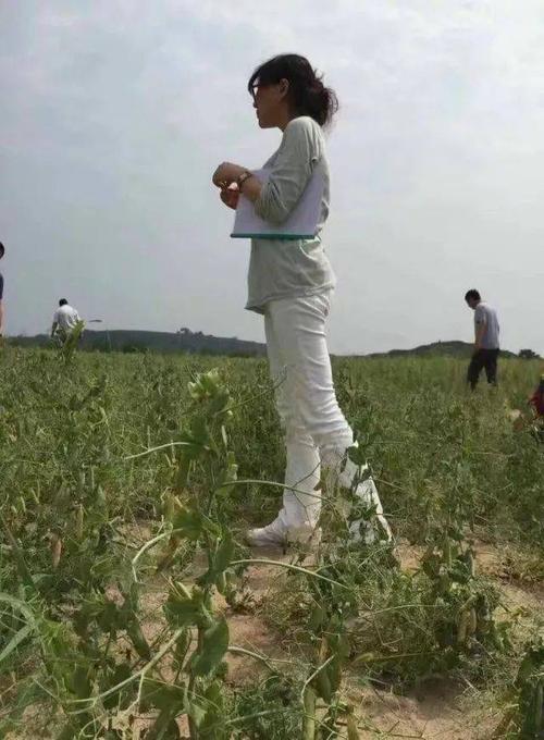生命的生活