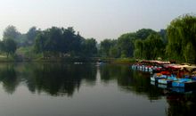 我的高密读后感