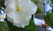 我懂得了珍惜生命