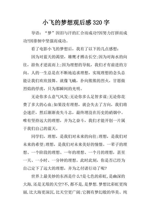 “小飞的梦想”