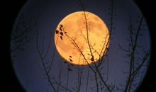 中秋，我想起了赛诗会