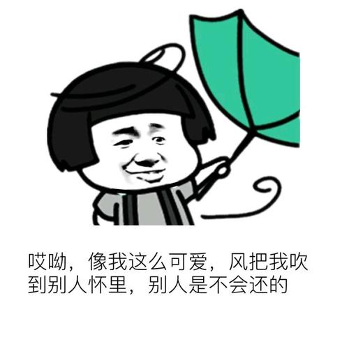 我想我是风。