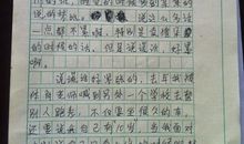 什么的谎言作文
