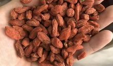 诚为本，信当先