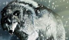 动物的呼声——读《狼图腾——小狼小狼》有感