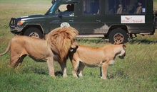 我与老爸亲密接触