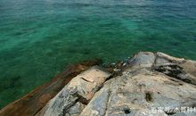 家乡的景色让我陶醉